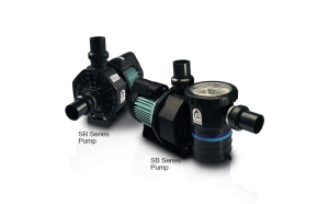 sbsr_pump_1_2-1.png